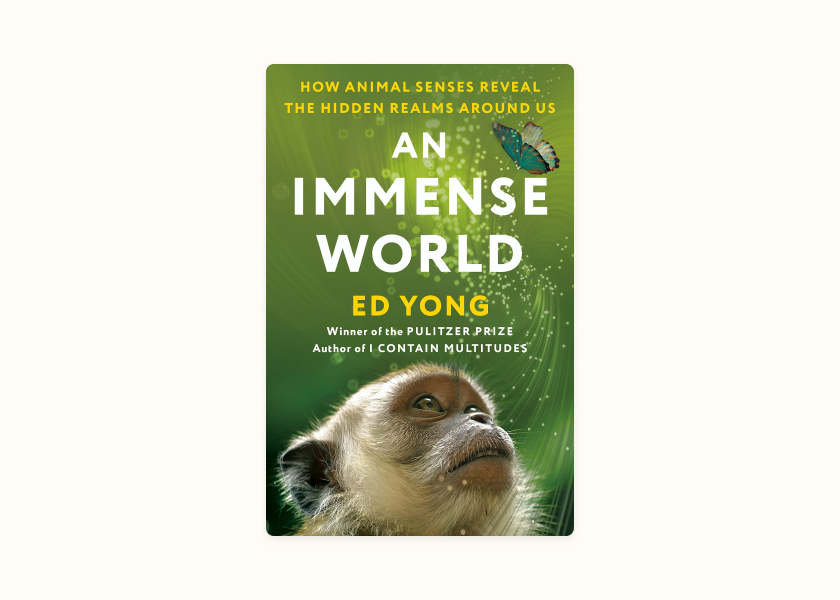 Ed Yong – An Immense World (2022)